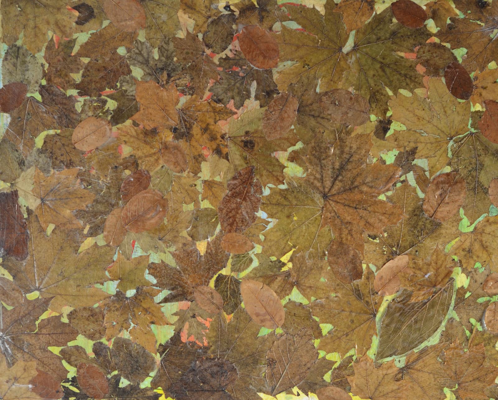 Sacred Leaves, 2020 — work 6 by Reda Abdelrahman