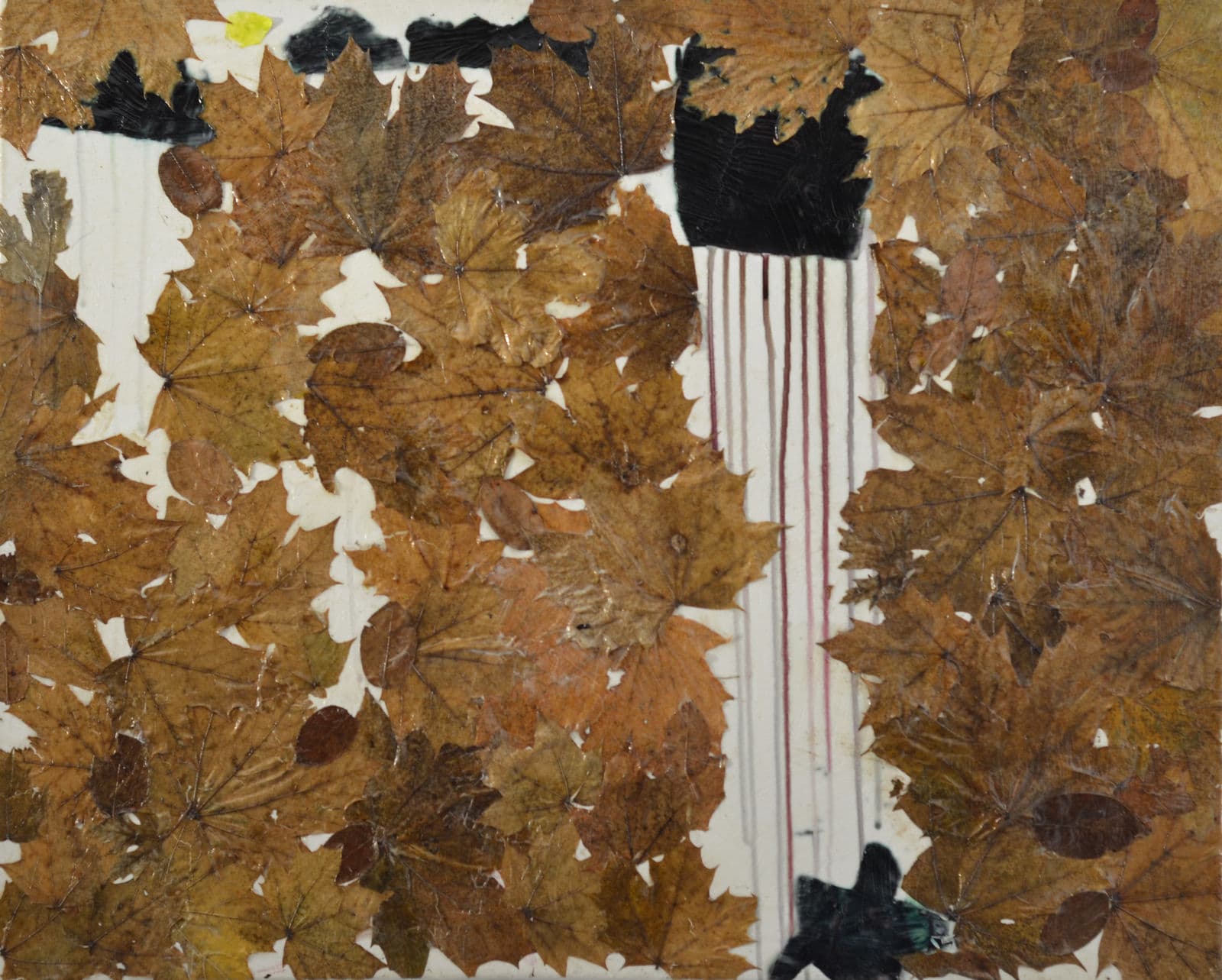 Sacred Leaves, 2020 — work 9 by Reda Abdelrahman