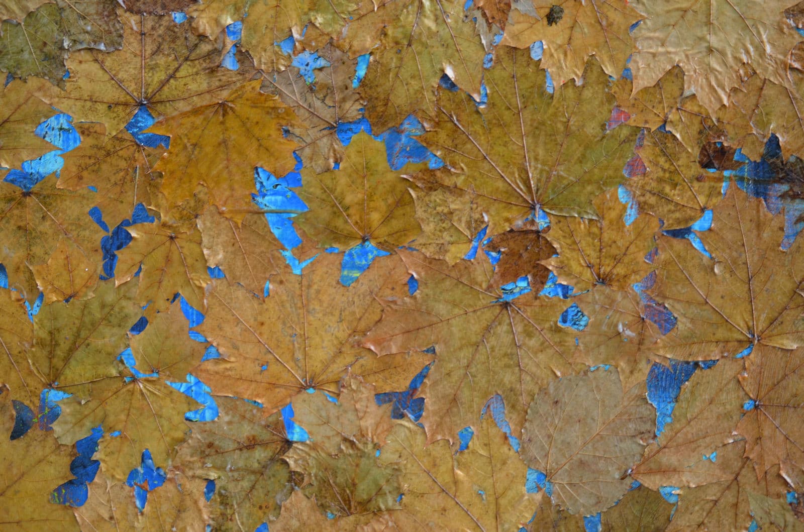 Sacred Leaves, 2020 — work 8 by Reda Abdelrahman