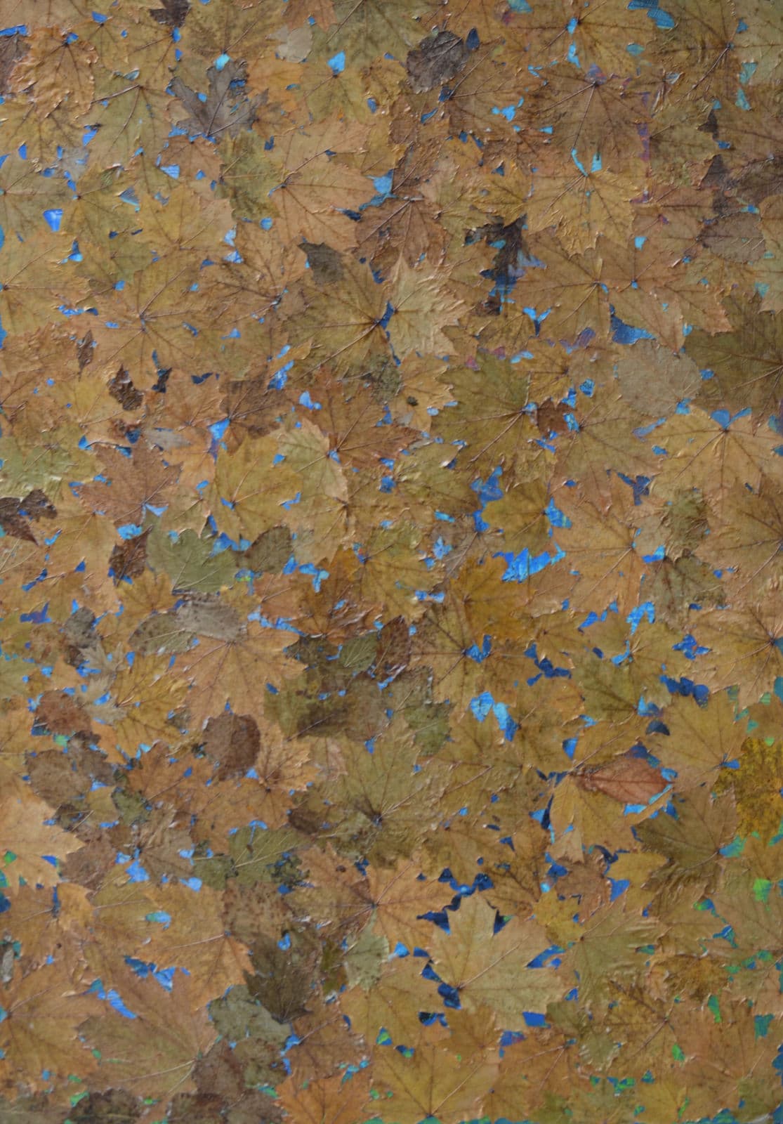 Sacred Leaves, 2020 — work 10 by Reda Abdelrahman